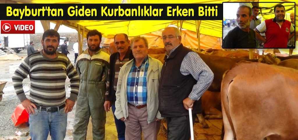 Bayburt’tan Giden Kurbanlıklar Erken Bitti