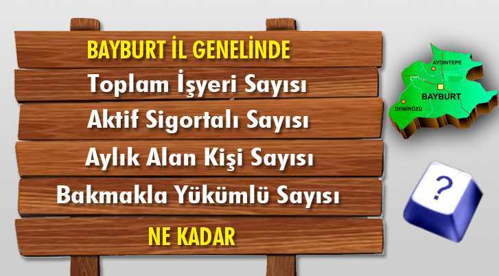 Bayburt İl Genelindeki Veriler