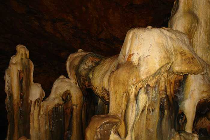 Bacasız Dev Sağlık Turizmi Uyumaya Devam Ediyor 7