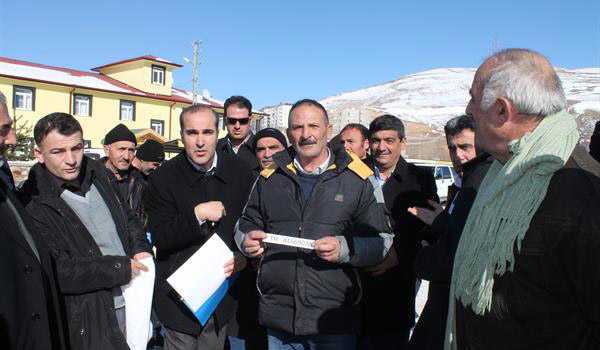 Damızlık Boğaların İlk Bölümü Yetiştiricilere Teslim Edildi 2