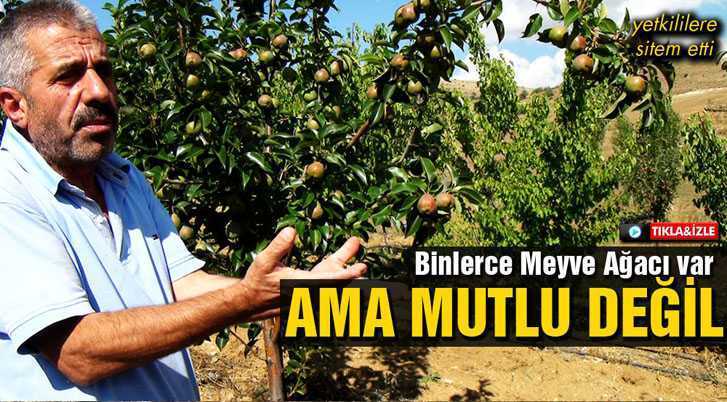 Bayburt’ta Binlerce Meyve Ağacı Var Ama Mutlu Değil