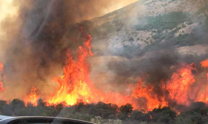 Bayburt’ta arazide çıkan yangın ormana ulaşmadan kontrol altına alındı