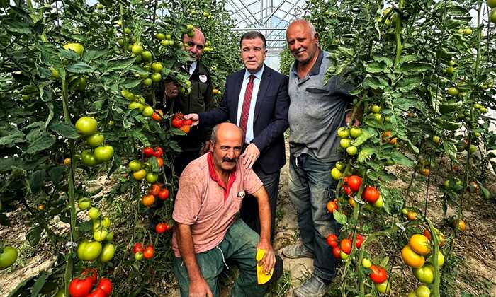 Vali Eldivan Eko-Köy’deki bağcıları ziyaret etti