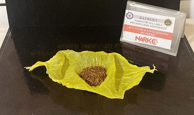 Bayburt’ta bir miktar bonzai ele geçirildi