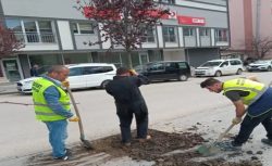 Bayburt’ta temizlik faaliyetleri devam ediyor! daha yeşil bir Bayburt için çalışıyorlar