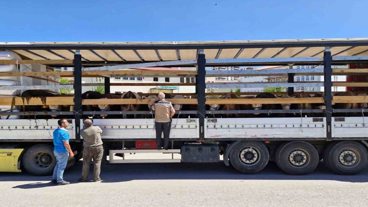 Bayburt’ta kurban sevki denetimleri devam ediyor