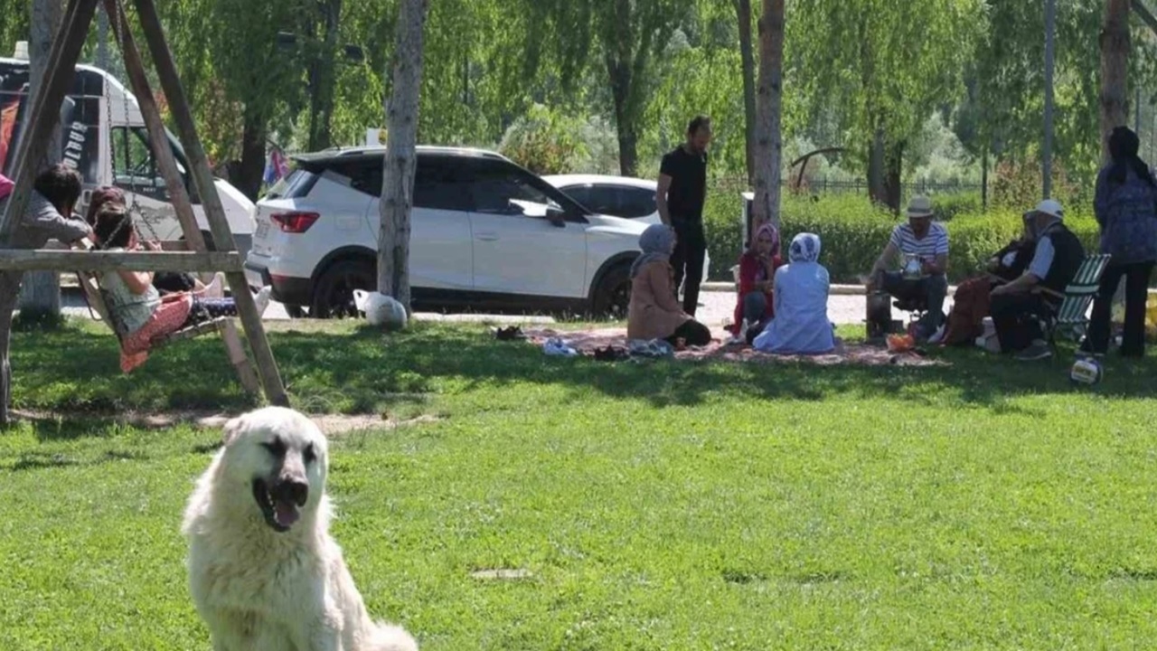 Bayburt’ta Hafta Sonu Yoğunluğu: Mesire Alanları Dolup Taştı